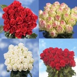 250 Red Roses Plus 250 Assorted Color Roses 250 Red Roses Plus 250 Assorted Color Roses
